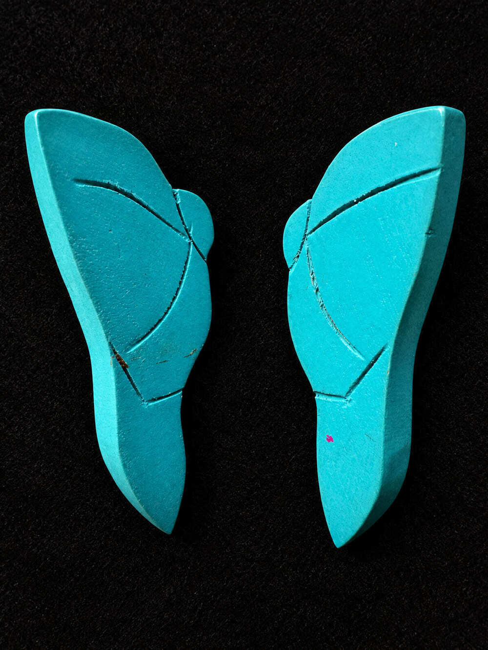 ⚜️ Carved Wing Earrings | Southwestern-Style | Turquoise-Color Resin 💗